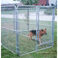 Outdoor Metall großer Haustierkäfighund Zwinger